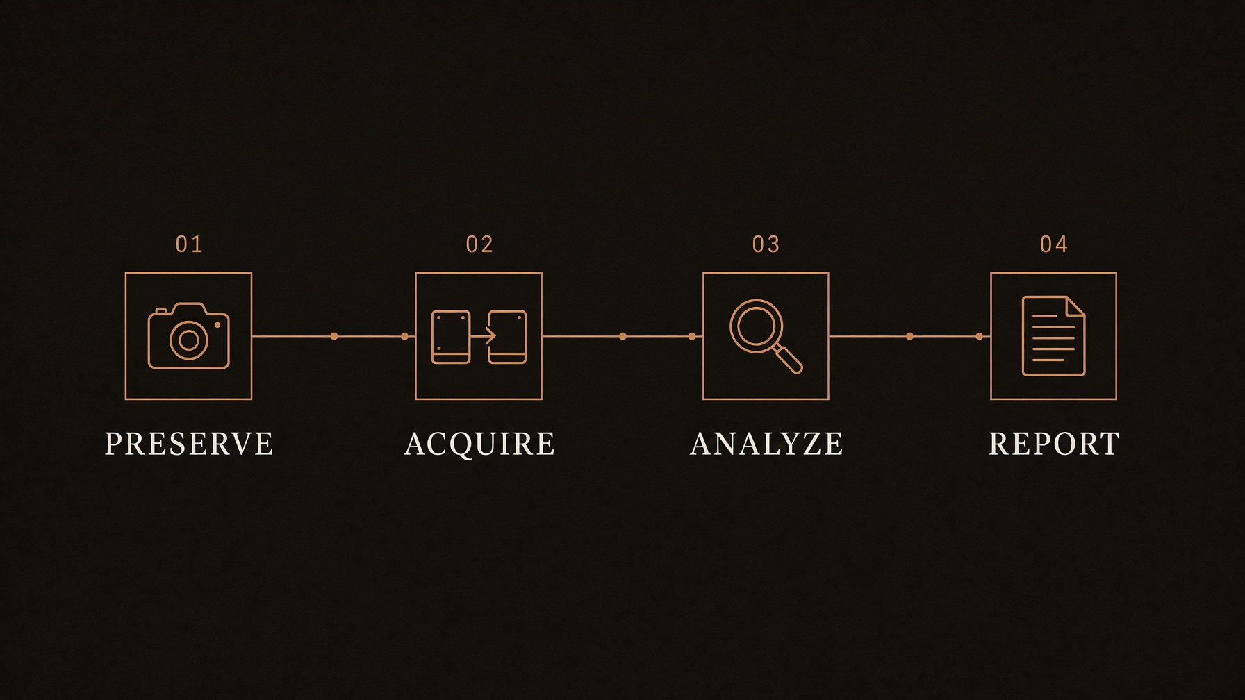 Four steps in order: 01 Preserve, 02 Acquire, 03 Analyze, 04 Report.